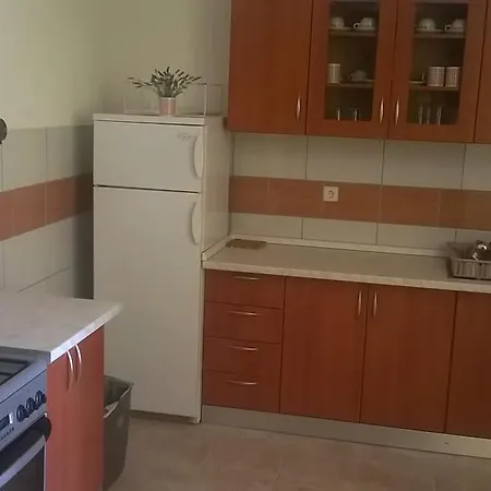 Apartman Radicevic Apartment